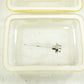 Ark Lamp Bulb 313 5213 315 For Energrtiq LDLS EQ 99