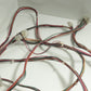 Waters Alliance 2695 Bundle Of Cables